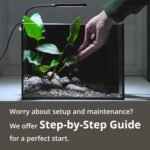 NICREW Nano Nature Aquarium Kit, 2.5 Gallon, Complete Version, Ultra-Clear Rimless Desktop Fish Tank with Filter, Light, Natural Gravel, River Rock and Starter Guide - Image 3