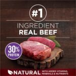 Purina ONE True Instinct High Protein Dry Dog Food, Beef & Bison - 12.4 kg Bag - Image 4