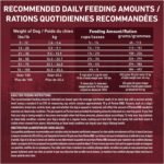 Purina ONE True Instinct High Protein Dry Dog Food, Beef & Bison - 12.4 kg Bag - Image 8