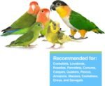 Hari Hagen Tropican Lifetime Formula Parrot Food, 4 lb Parrot Food with Peanuts & Sunflower Seeds and Balance Nutrition Levels - Image 4