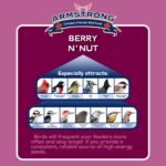 Armstrong Wild Bird Food Berry N' Nut Suet Cake, 11.3 Ounces (Pack of 3) - with Cut Corn, Rendered Beef Fat, White Millet, Peanut Meal and Apple Pomace for Downy Woodpeckers and Northern Flickers - Image 5