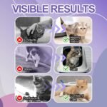 Cat Litter Training Spray – 150ml Natural Attractant for Cats & Kittens – Helps Guide Proper Litter Box Use – Indoor Toilet Training Aid - Image 4