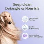 PAWFUME Dog Shedding Shampoo and Conditioner, Royal Lavender, 1-Pack – Nourish & Detangle for Silky Soft Coat – Probiotic, Deep-Cleaning, pH-Balanced – Salon-Quality Shedding Shampoo for Dogs - Image 4