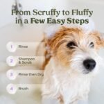 PAWFUME Dog Shedding Shampoo and Conditioner, Royal Lavender, 1-Pack – Nourish & Detangle for Silky Soft Coat – Probiotic, Deep-Cleaning, pH-Balanced – Salon-Quality Shedding Shampoo for Dogs - Image 6