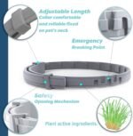 Natural Flea and Tick Collar for Puppies - 12-Month Protection, Safe Pest Control - Waterproof, Strong - Free Flea Comb and Tick Tweezer Included - 2-Pack, 13.8 Inches - Image 5
