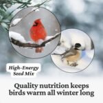 Premium All Season Wild Songbird Bird Seed for Outdoor Feeders | 4 kg (9 lb) - Image 5