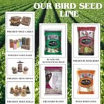 Premium All Season Wild Songbird Bird Seed for Outdoor Feeders | 4 kg (9 lb) - Image 7