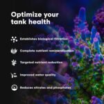 Brightwell Aquatics MicroBacter7 Complete Bioculture for Fish Tank or Aquarium - Populates Biological Filter Media for Saltwater and Freshwater Fish - Aquarium Water Treatments, 4.2 fl oz - Image 5