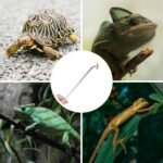 2PCS Long Aquarium Tweezers - 10.6" Straight and Curved Tweezers, Stainless Steel Reptile Feeding tongs, Terrarium Aquascape Tools Feeder for Lizards, Bearded Dragon Snake Tank Accessories - Image 4