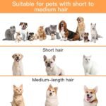 AIRROBO Dog Grooming Vacuum Kit,12000Pa Strong Pet Vacuum for Shedding,Grooming Hai,Quiet,PG100,2L Large Capacity - Image 4