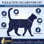 4 Pack Flea Collar for Cats, 32 Months Flea and Tick Prevention for Cat, Waterproof Cat Flea Collar, Natural Flea Treatment, Adjustable Fleas and Ticks Collars for Cats Kittens(Grey&Purple) - Image 3