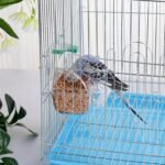 IBWell 2 Pack Clear Water Bowl and Food Container - Bird Cage Feeder With Perch for Parakeets - No Mess Design - Image 5