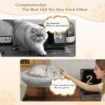 VERIFOST Cat Bed for Desk with Adjustable Height & 360 Rotation Elevated, Heavy-Duty Cat Desk Bed for Small Space, Soft & Comfortable Modern Unique Kitten Furniture, Indoor Cats Up to 60 lbs (Gray) - Image 3