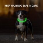 2-Pack LED Dog Collar, Light Up Dog Collars,Rechargeable Dog Lights for Night Walking，Universal, Reusable Safety Necklace for Small Medium Large Dogs Green&Blue - Image 3