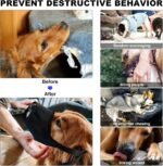 Dog First Aid Kit - Pet First Aid Kit for Dogs Pet Emergency Kit with Grooming Hammock Harness Nail Clipper First Aid Supplies for Home Camping - Image 6