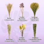 Sukh 42Pcs Herb Bedding Habitat Decor - Natural Flower Hamster Mate Herbs Sprays Cage Safe Pet Accessories Decorations Hideout for Hamsters Mouse Guinea Pig Dwarf Gerbils Syrian Mice - Image 3