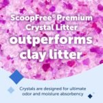 PetSafe ScoopFree Premium Crystal Cat Litter - Ultra-Absorbent Silica Universal Litterbox Crystals - Non-Clumping Odor Control - Lavender Scent - 8 lb Bag - Image 3