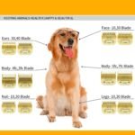 7FC/5FC/4FC Detachable Pet Dog Grooming Clipper Ceramic Blades Set,Compatible with Andis,Oster A5,Wahl KM10 Series Clippers,3 Pack,Gold - Image 5