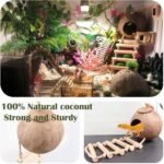 10PCS Crested Gecko Tank Accessories, Reptile Plants Bridge Vines, Coconut Shell with Ladder for Lizard, Chameleon Cage, Snakes, Hermit Crab, Leopard Gecko Tank Accessories, Terrarium Decor - Image 3