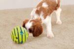 Wobble Wag Giggle Ball | Rolling Enrichment Toy for Fun Playtime, Interactive Play for Indoor or Outdoor, Keeps Dogs & Puppies Large, Medium or Small Busy & Moving, As Seen on TV | Pack of 1 - Image 3