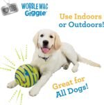 Wobble Wag Giggle Ball | Rolling Enrichment Toy for Fun Playtime, Interactive Play for Indoor or Outdoor, Keeps Dogs & Puppies Large, Medium or Small Busy & Moving, As Seen on TV | Pack of 1 - Image 5