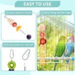 2 Pcs Bird Feeder Bowls with 3 Pcs Food Holder for Cage, Parrot Food Water Bowls and Fruit Skewer Foraging Toy, Stainless Steel Bird Feeding Dish Cups for Small Animals (Silvery, 5 Pcs) - Image 4