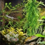 Reptile Plants, Terrarium Hanging Plant Vines Artificial Leaves Reptile Hide, Leopard Gecko Tank Accessories, Terrarium Decorations for Bearded Dragon Lizard Snake Geckos Chameleon - Image 7