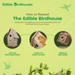 Edible Birdhouse - Birdseed Bird Feeder, Wooden Birds House Covered in Wild Bird Food, Squirrel Resistant Birds Feeders for Outside Hanging, Watching Gift for Garden Lovers, (TD) - Image 5