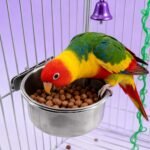 8 Pcs Stainless Steel Bird Food & Water Bowls with Clamp Holder - Hanging Bird Cage Feeding Dishes, Pet Feeders for Cockatiel, Conure, Budgie, Parakeet, Macaw & Small Animals - Image 6