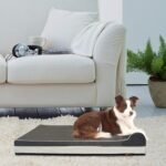 Laifug Orthopedic Memory Foam Extra Large Dog Bed with Pillow and Durable Water Proof Liner & Removable Washable Cover & Smart Design (Large (46"x28"x8"), Grey) - Image 6
