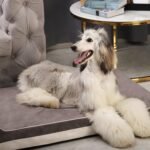 Laifug Orthopedic Memory Foam Extra Large Dog Bed with Pillow and Durable Water Proof Liner & Removable Washable Cover & Smart Design (Large (46"x28"x8"), Grey) - Image 7