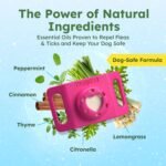 BugMD Paw Guardian Flea and Tick Prevention Pendant for Dogs with AirTag Holder | Plant-Powered Flea & Tick Control for Dog Collars Harnesses | Dog Tag with Air Tag Holder - Pink - Image 4