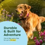 BugMD Paw Guardian Flea and Tick Prevention Pendant for Dogs with AirTag Holder | Plant-Powered Flea & Tick Control for Dog Collars Harnesses | Dog Tag with Air Tag Holder - Pink - Image 6