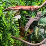 HERCOCCI 2 Pack Reptile Plants, Terrarium Hanging Plants Vines Artificial Leaves Habitat Decorations with Suction Cup for Bearded Dragon Hermit Crab Lizard Snake Geckos Chameleon - Image 4