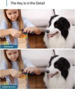 eufy Security Indoor Cam E220, Camera for home Security, Pan & Tilt, Dog/Pet Camera, 2K Wi-Fi Plug-in, Motion Tracking, Motion Only Alerts, Night Vision, HomeBase 3 Compatible, Voice Assistant Support - Image 3