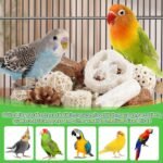 Kyouki Bird Toys Parrot Toys Natural Bird Foraging Box Foot for Parakeets,Cockatiels,Conures,Love Birds,and Other Small to Medium Birds (Medium) - Image 4