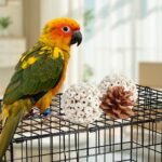 Kyouki Bird Toys Parrot Toys Natural Bird Foraging Box Foot for Parakeets,Cockatiels,Conures,Love Birds,and Other Small to Medium Birds (Medium) - Image 5
