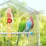 ElevateTech 3Pcs Bird Food Holder, Stainless Steel Small Animal Bird Food Treats Skewer Hanging Vegetable Fruit Feeder Feed Treating Tool Suitable Parrots Cockatoo Cockatiel (Silver) - Image 5