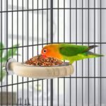 KATUMO Conure Perch Bird Wood Perch Stand Toy Parrot Cage Toy Bird Food Cup for Parakeet Lovebird Finch Conure Budgie Small Birds - Image 4