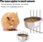 PINVNBY Parrot Feeding Cups Birds Food Dish Stainless Steel Parrot Feeders Water Cage Bowls with Clamp Holder for Cockatiel Conure Budgies Parakeet Parrot Macaw Small Animal Chinchilla Pack of 2 - Image 4