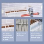 IBWell 4 Pack Bird Feeder for Cage Bird Food Bowl Parakeet Feeder Bird Water Parrot Feeder - Image 5