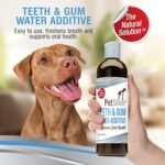 PetSilver Teeth & Gum Water Additive for Dental Care - Pet Breath Freshener - Targets Tartar, Plaque & Eliminates Bad Breath - Dog Oral Care & Cat Teeth Cleaning - No Brushing & Tasteless - 12 fl oz - Image 6