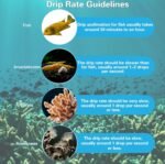 FAWAYSHAAN Drip Acclimation Kit for Saltwater and Freshwater Aquariums, Fish Tanks Accessories for Shrimp, Marine Fish, Coral,Plants - Image 4