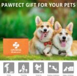 GPUSFAK Dog First Aid Kit - Pet First Aid Kit for Dogs Pet Emergency Kit with Pets First Aid Supplies for Home Camping Hiking Traveling - Image 4