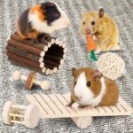 Hamster Chew Toys Set Small Animal Molar Toys Teeth Care Wooden Accessories for Guinea Pigs,Chinchillas,Gerbils,Mice,Rats,Mouse Rodents Toy Swing Seesaw Bridge (Wood) - Image 4
