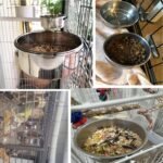 kathson Parrot Feeding Dish Cups,Stainless Steel Bird Food Water Bowl Parakeet Feeder Birds Cage Ball Toys with Clamp Holder for Cockatiel Macaw Budgies Small Animal Chinchilla (7 Pcs) - Image 3