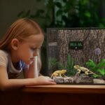 PAIZOO Reptile Thermometer Hygrometer, LED Digital Terrarium Thermometer and Humidity Gauge Snake Tank Accessories with USB Charging for Bearded Dragon, Tortoise, Reptile Tank, (Include 31.5'' Cable) - Image 4