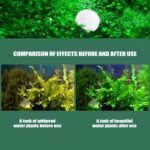 120 PCS CO2 Tablet, Carbon Dioxide Generator, Fish Tank Diffuser Tablets, Ideal for Planted Aquariums and Freshwater Aquarium Plant Treatments [Aquarium Equip CO2 Boosters] - Image 4