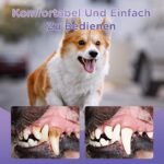 6Pcs Pet Oral Repair Gel, Dog Oral Repair Gel, Pet Breath Freshener for Cats and Dogs, Removes Tartar, Keeps Breath Fresh, Strengthens Teeth,No Brushing Oral Care Cleaner,3ML - Image 5