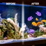 Nispira 12 Fish Universal Demineralization Cleaners for Protec Guardian Aquastick Humidifiers Ultrasonic Evaporative Dehumidifiers Hard Water Removes White Dust Odor - Image 5